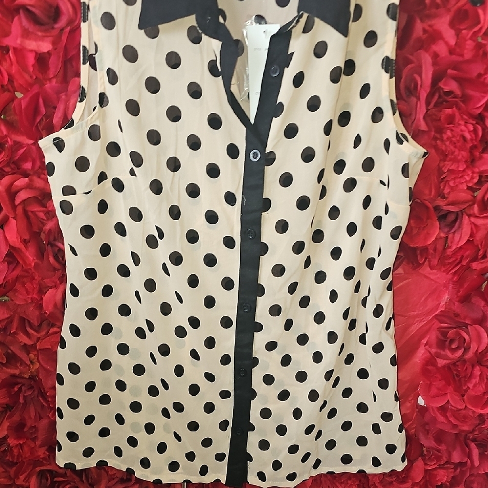 Pinky NWT Women's Black and Cream Polka Dot Blouse Size Medium